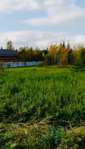 ДП Родной в Богдановиче - bogdanovich.yutvil.ru