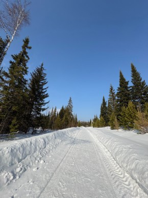 ДП Родной в Богдановиче - bogdanovich.yutvil.ru - фото 7