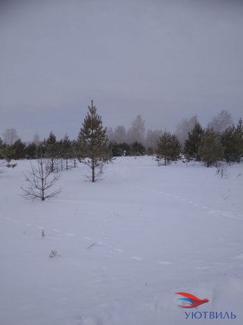 Земельный участок поселок Баженово в Богдановиче - bogdanovich.yutvil.ru - фото 5