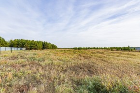 Российская Федерация, Свердловская область, Сысертский городской округ, территория садоводческого некоммерческого товарищества Бобровские дачи, улица Каштановая, земельный участок № 38 в Богдановиче - bogdanovich.yutvil.ru - фото 16