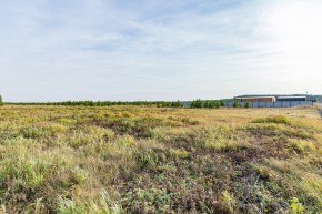 Российская Федерация, Свердловская область, Сысертский городской округ, территория садоводческого некоммерческого товарищества Бобровские дачи, улица Каштановая, земельный участок № 38 в Богдановиче - bogdanovich.yutvil.ru - фото 24