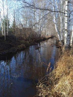 СНТ Берёзка в Богдановиче - bogdanovich.yutvil.ru - фото 14