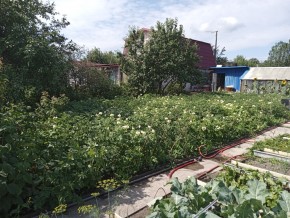 СНТ Медик-2 в Богдановиче - bogdanovich.yutvil.ru - фото 6