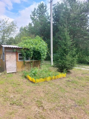 СНТ Родники в Богдановиче - bogdanovich.yutvil.ru - фото 1