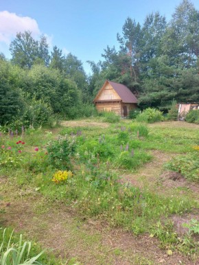 СНТ Родники в Богдановиче - bogdanovich.yutvil.ru - фото 2