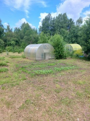 СНТ Родники в Богдановиче - bogdanovich.yutvil.ru - фото 3