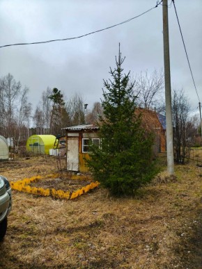 СНТ Родники в Богдановиче - bogdanovich.yutvil.ru - фото 5 СНТ Родники в Богдановиче - bogdanovich.yutvil.ru - фото 5