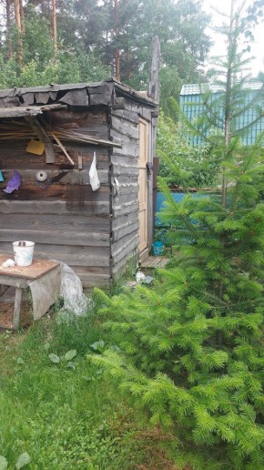 СНТ Садовод-24 в Богдановиче - bogdanovich.yutvil.ru - фото 13