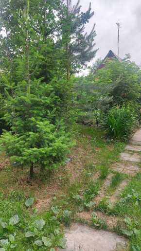 СНТ Садовод-24 в Богдановиче - bogdanovich.yutvil.ru - фото 15