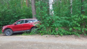 СНТ Садовод-24 в Богдановиче - bogdanovich.yutvil.ru - фото 18