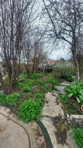 СНТ Сирень, уч. 38 в Богдановиче - bogdanovich.yutvil.ru - фото 7