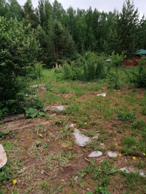 СТН Семья №112, Верхняя пышма на землях бывшего подсобного хозяйтва верхнепышминского опытного завода в Богдановиче - bogdanovich.yutvil.ru - фото 17 СТН Семья №112, Верхняя пышма на землях бывшего подсобного хозяйтва верхнепышминского опытного завода в Богдановиче - bogdanovich.yutvil.ru - фото 17