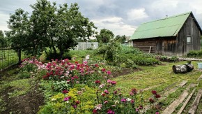 ул. 8-е Марта,46 в Богдановиче - bogdanovich.yutvil.ru - фото 6 ул. 8-е Марта,46 в Богдановиче - bogdanovich.yutvil.ru - фото 6