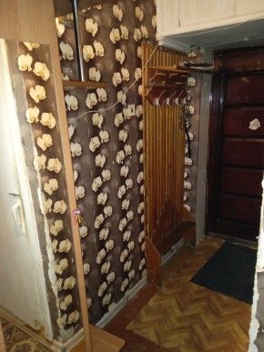 ул. Бажова,11 в Богдановиче - bogdanovich.yutvil.ru - фото 9