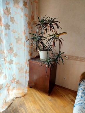 ул. Индустрии,29 в Богдановиче - bogdanovich.yutvil.ru - фото 4 ул. Индустрии,29 в Богдановиче - bogdanovich.yutvil.ru - фото 4