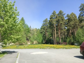 ул. Сосновая, 8 в Богдановиче - bogdanovich.yutvil.ru - фото 26