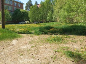 ул. Сосновая, 8 в Богдановиче - bogdanovich.yutvil.ru - фото 33